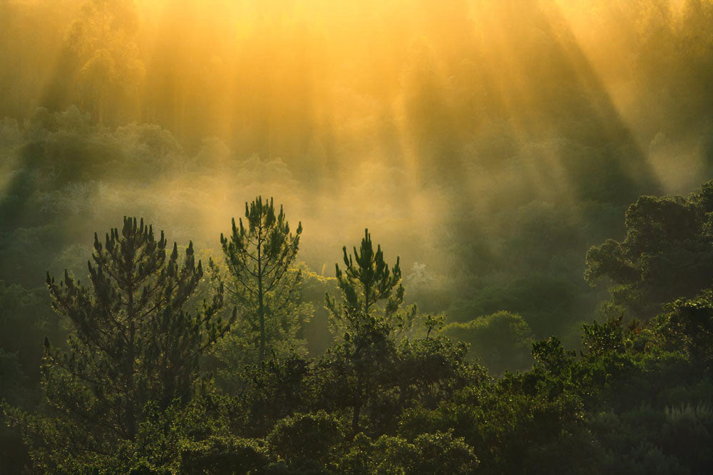 Inner Work  Parts 1 - 6