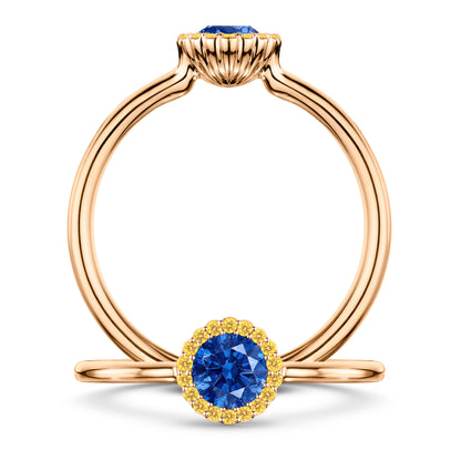 Rivage Medium Blue Sapphire Ring with Intense Yellow Diamond halo in 18ct Rose Gold, front and side views